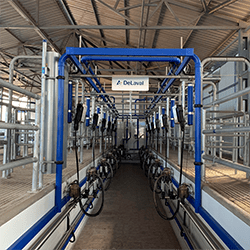 Mittal Dairy Farms