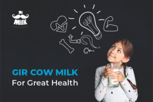 Gir Cow Milk – For Great Health