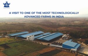 Most Technologically Advanced Diary Farms in Pune