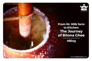 Journey-of-Bilona-Ghee-cover