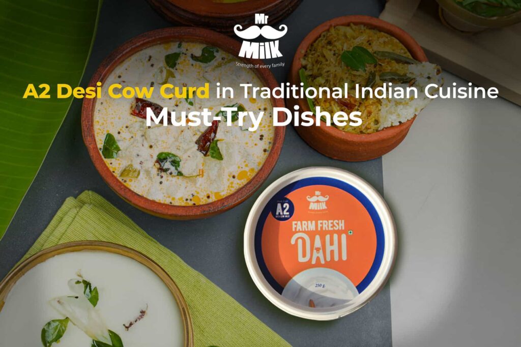 A2 Desi Cow Curd in Traditional Indian Cuisine