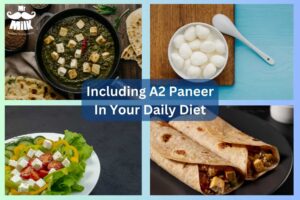 Using A2 Paneer