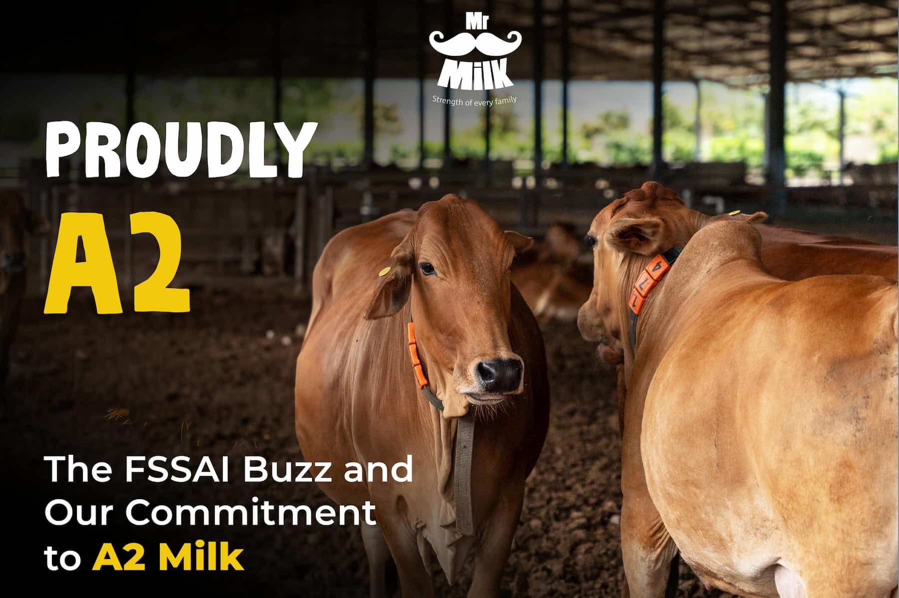 Proudly A2: The FSSAI Buzz and Our Commitment to A2 Milk