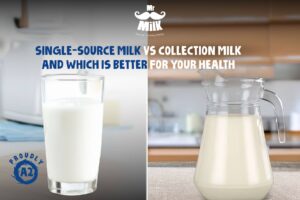 Single-Source Milk vs. Collection Milk