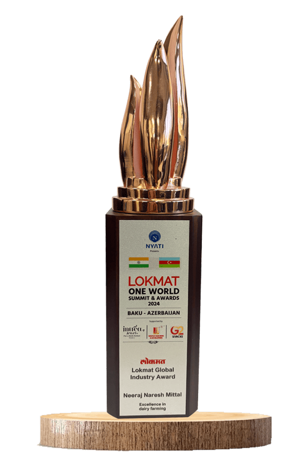 lokmat global industry award